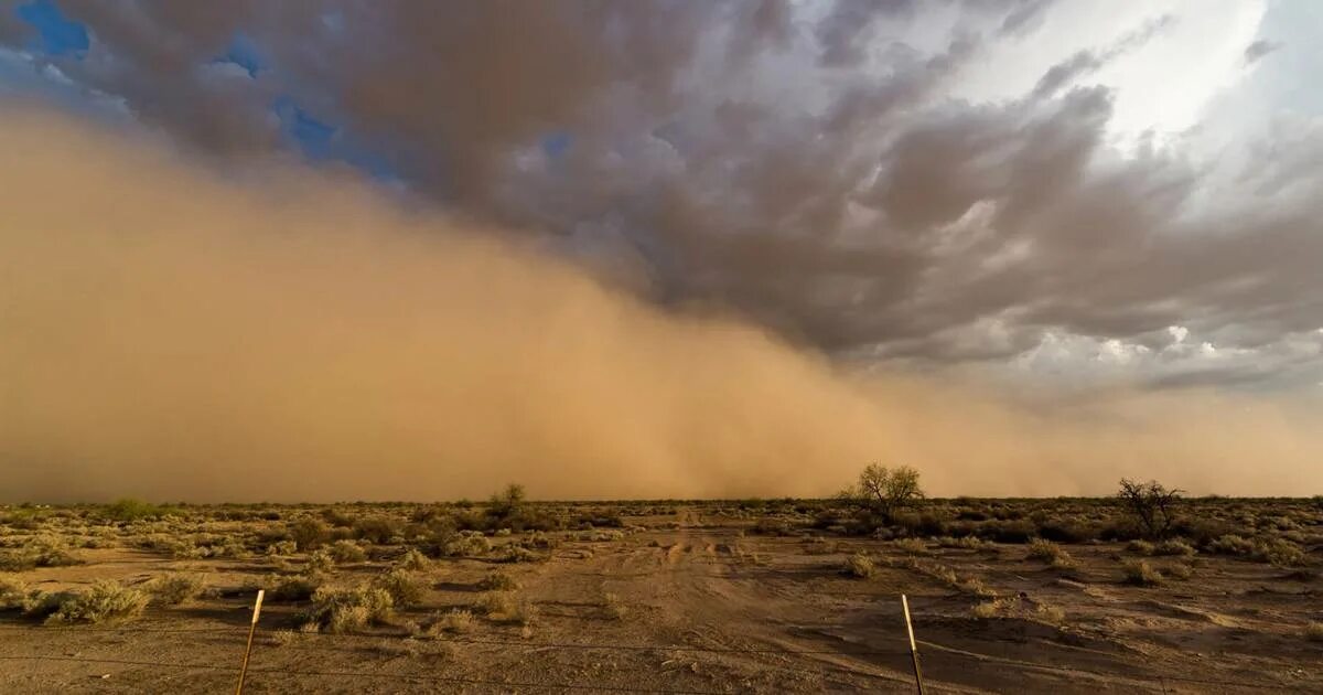 Воздушный шар увлекаемый бурей несся вращаясь. Пыльная буря в Дубае. Пыльная буря в Казахстане. Песчаная буря фото. Пыльная буря в Турции.