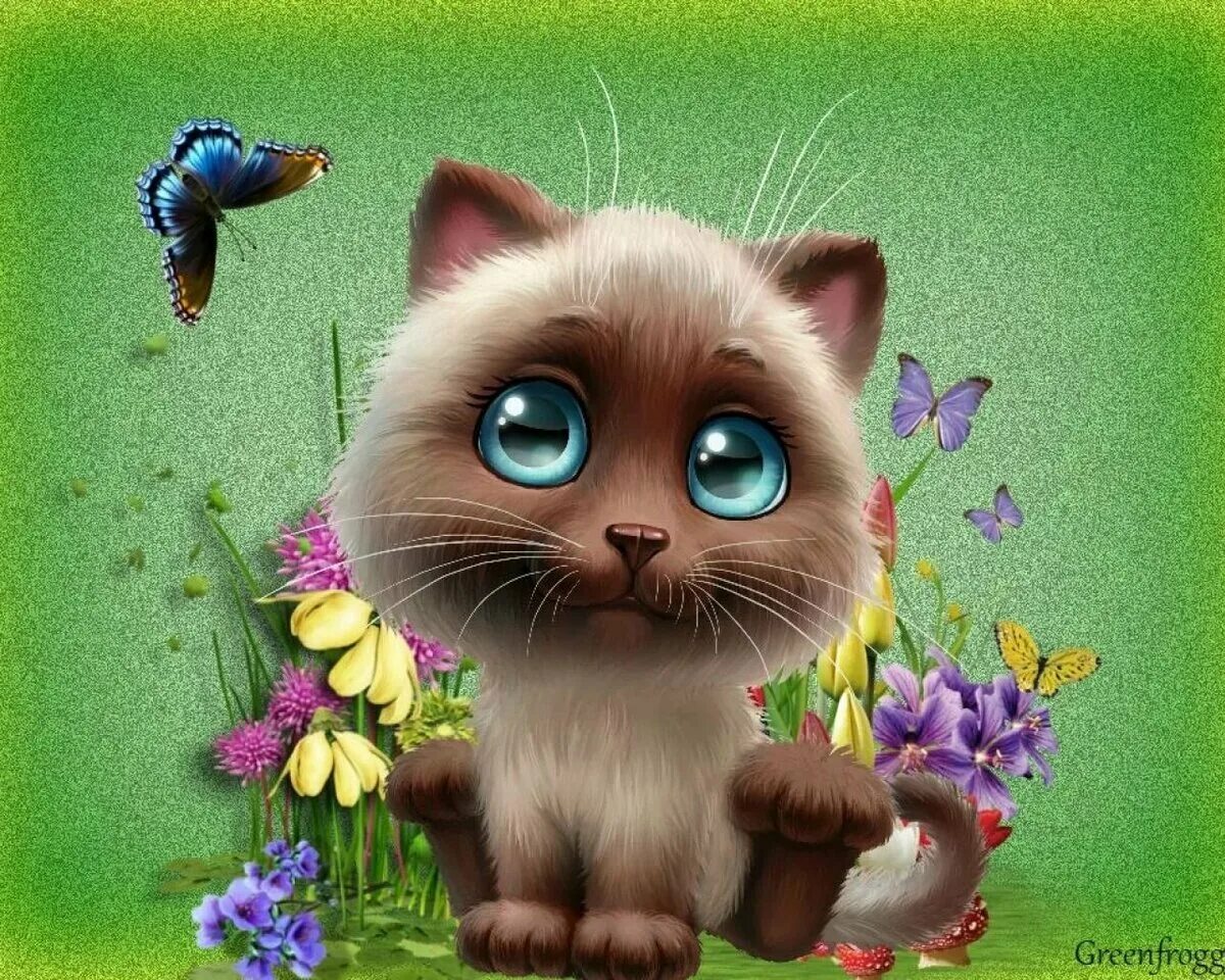 открытки привет прикольные. открытки привет. красивые открытки с пожеланиями. покажи приветики. лето ах лето.