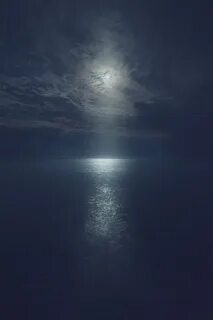 Night pearl