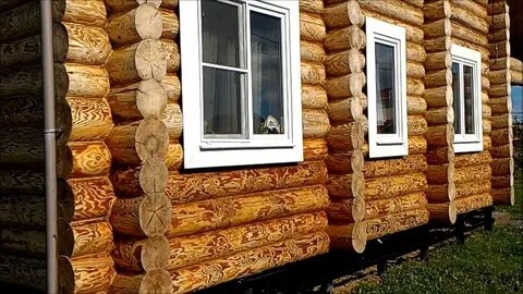 Масловоск анта