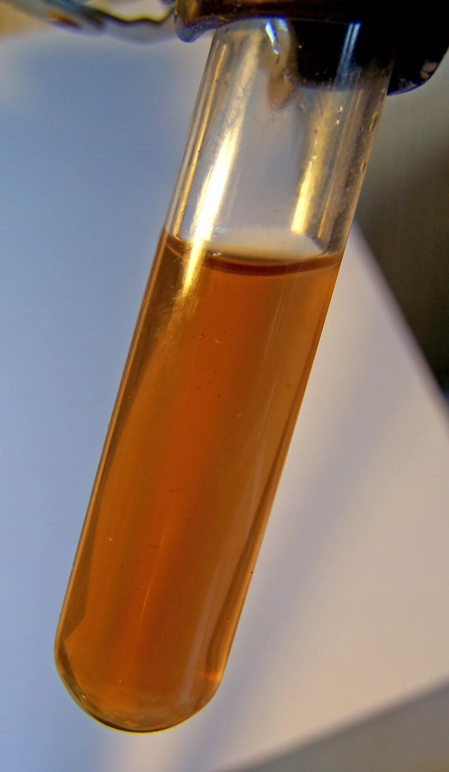 Гидроксид железа 2 цвет раствора. Бурый цвет гидроксида железа 3. Сульфид меди в пробирке. Осадок гидроксида железа 3. Гидроксид железа 3.