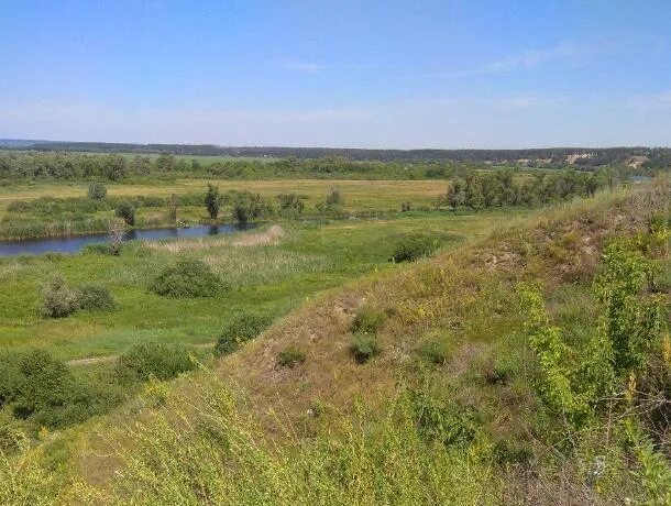 Озеро круглое Воронеж Рамонский район. Озеро круглое Воронеж Подгорное. Памятники природы Рамонского района. Озеро большое Воронеж. Индекс рамонского района воронежской области