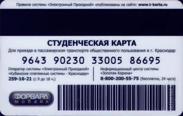 T karta novosibirsk student