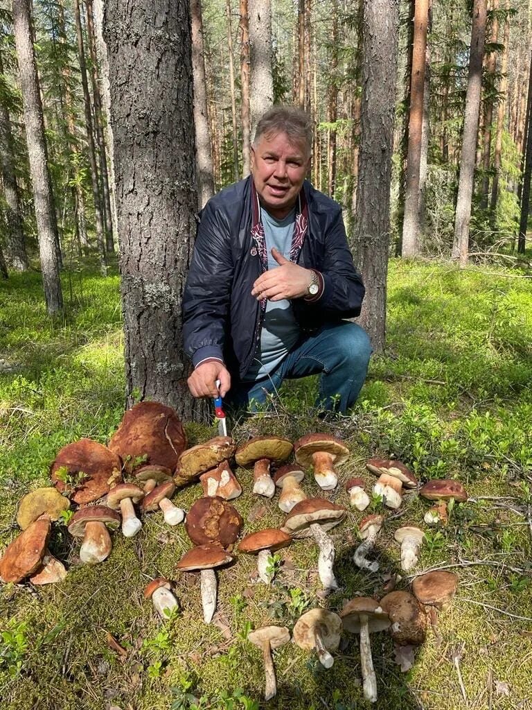 Большая Верхотина Вологодская область грибы. Красноголовики грибы. Поход за грибами.