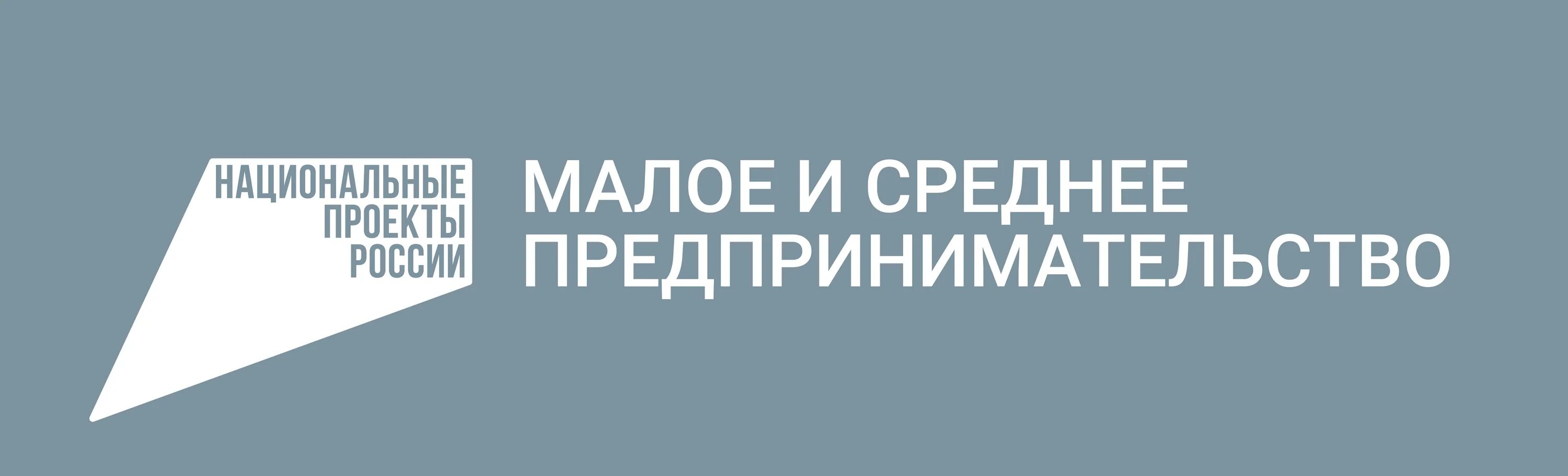 Российский мало. Национальный проект Малое и среднее предпринимательство. Национальные проекты предпри. Национальные проекты Малое и среднее предпринимательство лого. Логотип нацпроекта Малое и среднее предпринимательство.