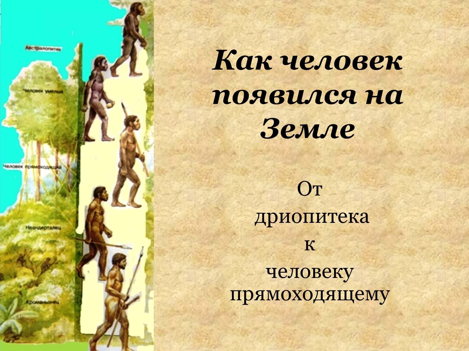 Сколько лет назад появился человек на земле. Как появился человек на земле. Откуда появились люди на земле. Первые люди на земле появились. Человек как человек появился на земле.