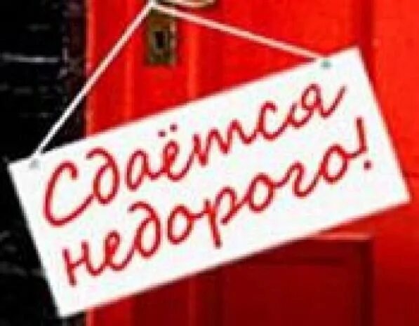 Объявление о сдаче квартиры образец. Сдается квартира картинка. Объявление о сдаче комнаты образец. Сдается квартира объявление. Сдается квартира объявление.