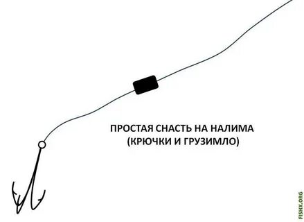 Снасть на налима осенью с берега