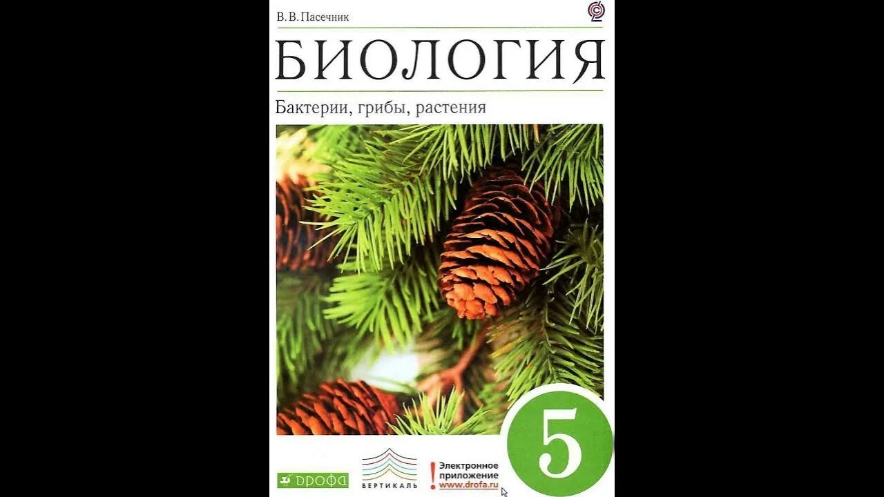 Биология 5 класс параграф 22 слушать. Биология 6 класс. Бактерии, грибы, растения. Пасечник. Биология бактерии грибы растения 5 класс Пасечник в.в. УМК по биологии 5 класс Пасечник линия жизни. Пасечник биология 5 класс Дрофа.