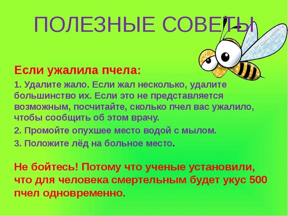 Укус осы первая помощь в домашних условиях. Оказание первой помощи при укусах насекомых для детей. Памятка при укусе пчелы. Укусы насекомых для дошкольников. Памятки если ужалила Оса.