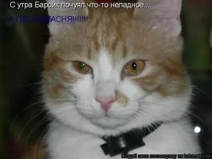Почуить или почуять