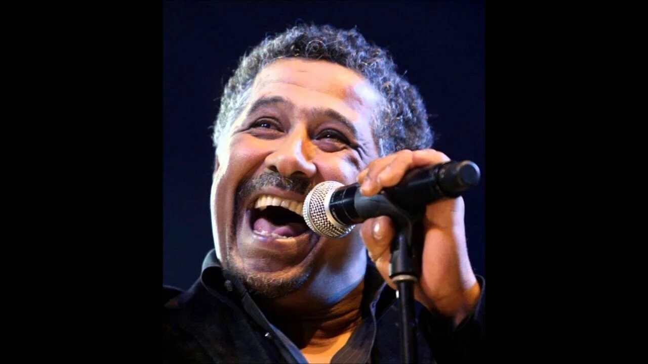 Khaled c est la. Khaled alech taadi. cheb khaled поет с флагами. khaled c&#039;est la vie clip.