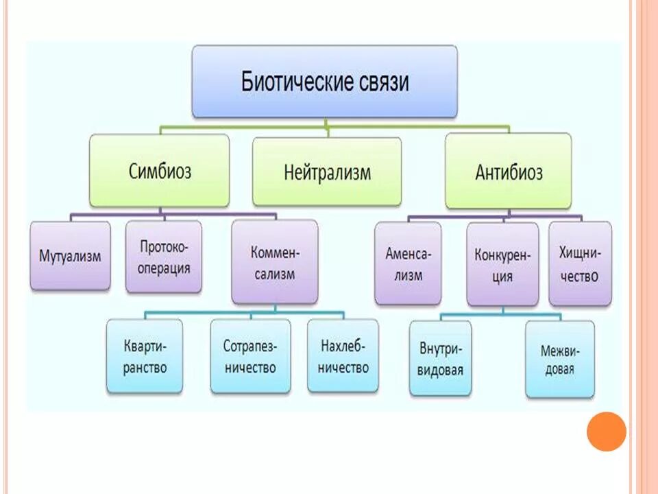 Разделите типы взаимоотношений организмов на соответствующие группы. Типы взаимоотношений нейтрализм симбиоз. Типы взаимоотношений организмов схема. Формы взаимодействия симбиоз. Типы биотических взаимоотношений схема.