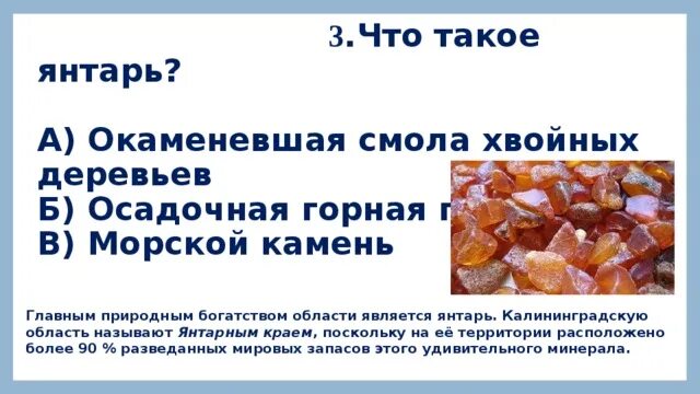 Горные породы Калининградской области. Природные богатства Калининградской области янтарь. Янтарь Горная порода. Янтарь окаменевшая смола хвойных деревьев. Янтарь окаменевшая смола хвойных огэ ответы