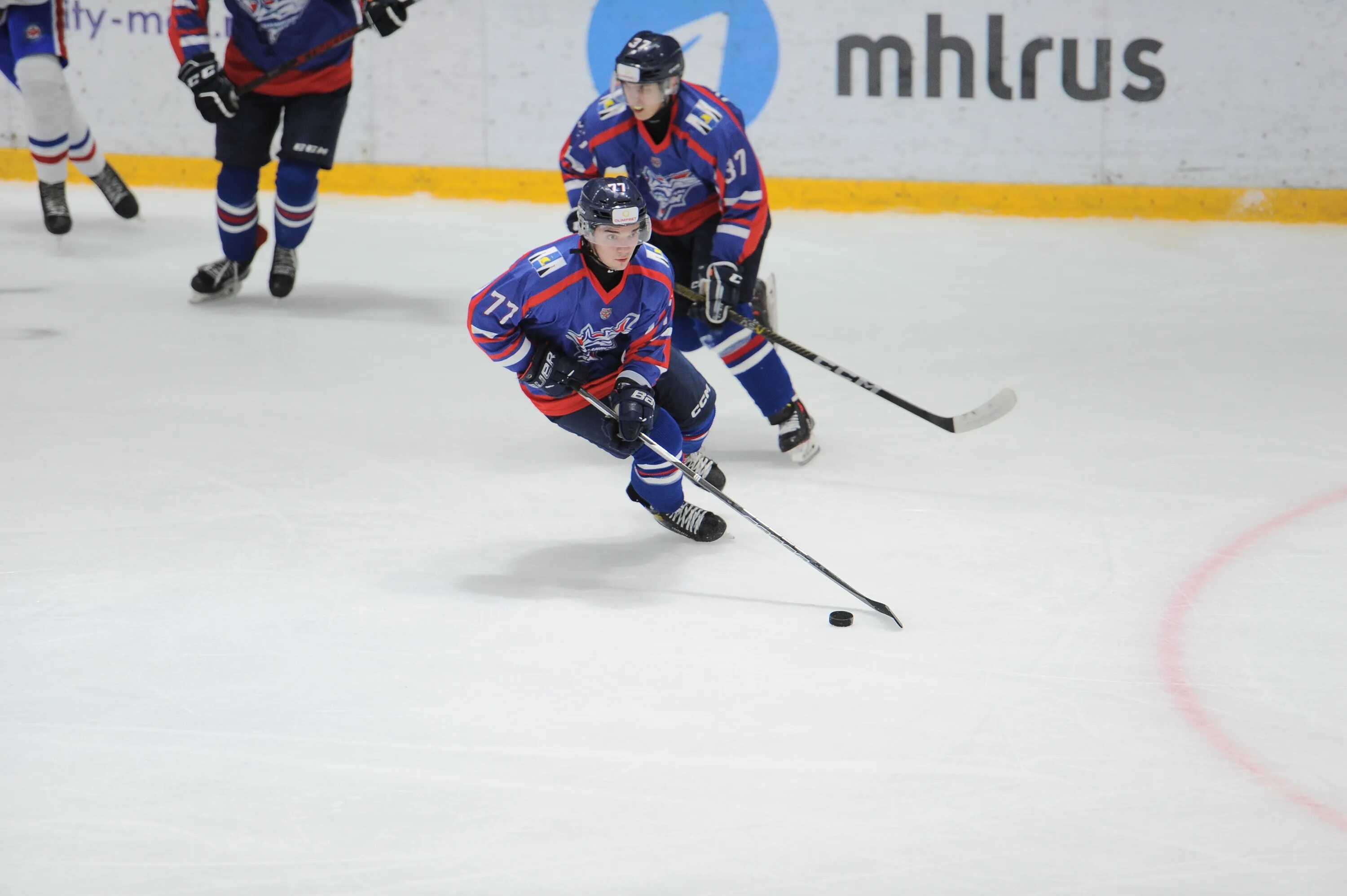 ска юниор сахалинские акулы прогноз