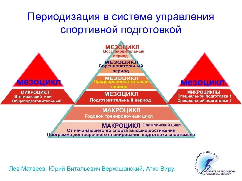 Периодизация тренировочного процесса. Периодизация спортивной тренировки. Периодизация в системе управления спортивной подготовкой. Принцип циклирования нагрузок периодизация тренировок.