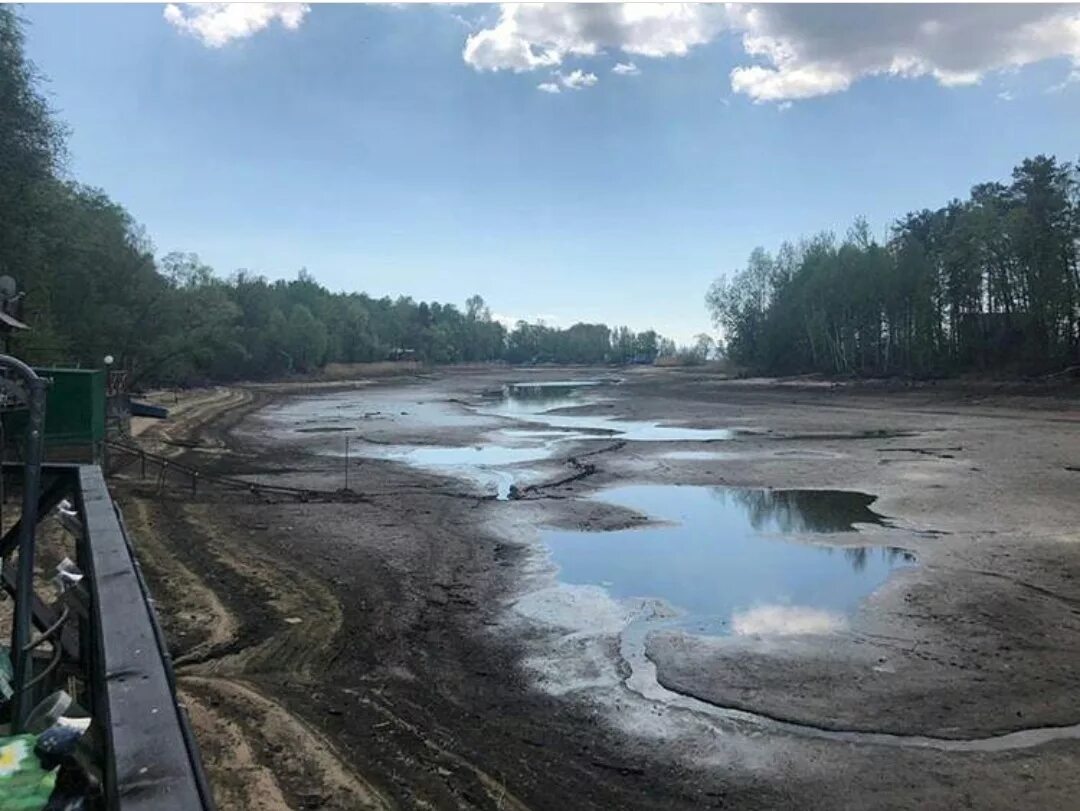 Уровень воды в реке кама. Обмеление Москвы реки. Кама обмелела. Обмеление Камы. Москва река обмелела.