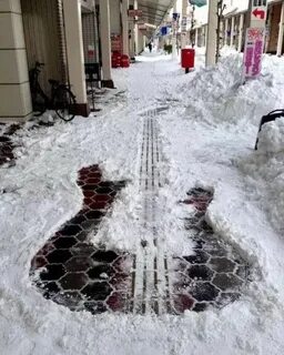 Смешные картинки про снег
