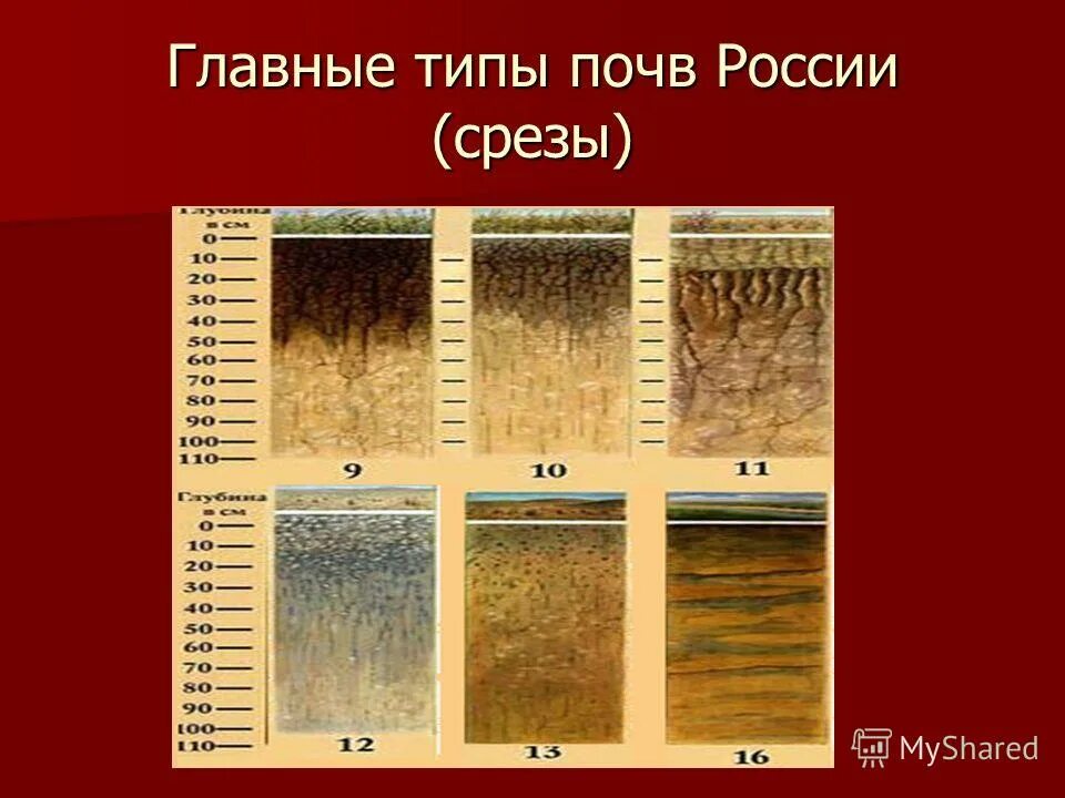 Почвы россии 4 класс 21 век презентация. Типы почв. Основные типы почв. Типы почв России. Главные типы почв России.