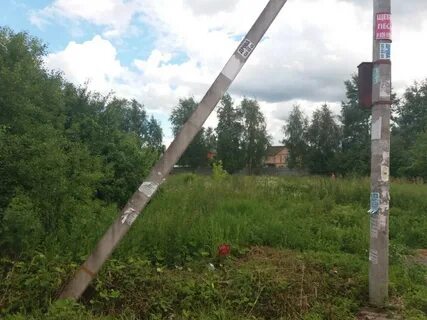 11 соток
