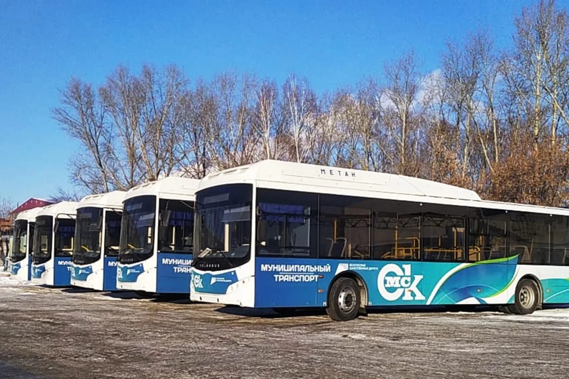 Автобус в реальном времени омск. Volgabus 2025. волгабас сочи 2025. волгабас омск. volgabus 2025.