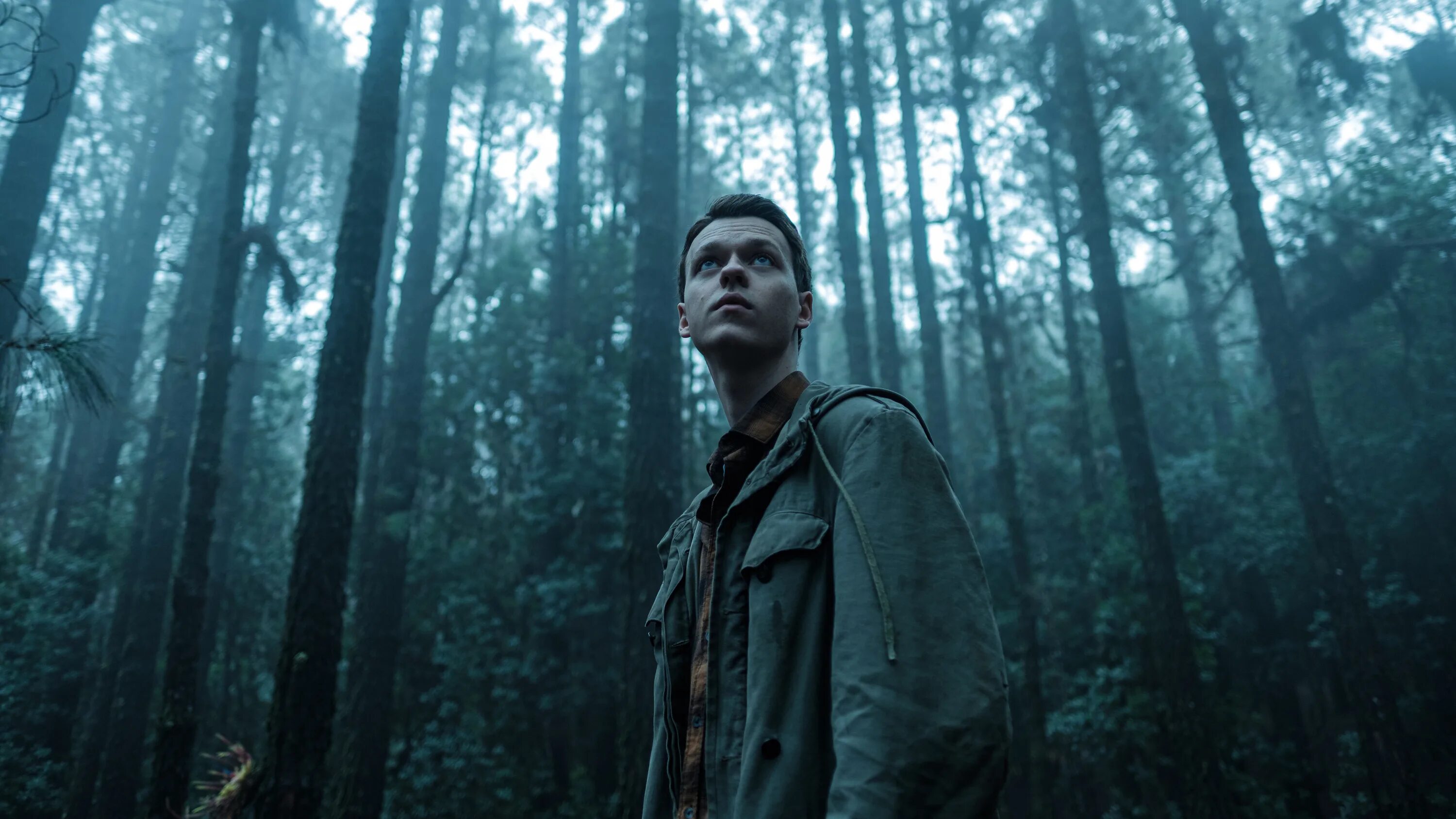 Грифон / der greif 2023. Грифон антро. Кудо боевое искусство. Кудо. Грифон сериал с 2023 г.