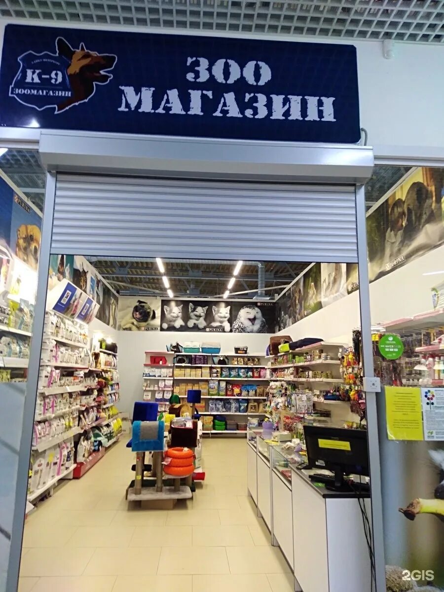 магазин кот и пес. магазин кот и пес петропавловск камчатский.