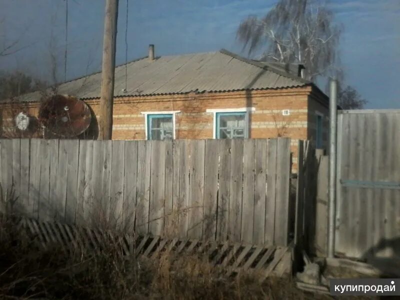 Погода п масальский локтевский. Село новенькое Локтевский район. Село новенькое Алтайский край Локтевский. Деревня новенькая Алтайский край. Село Новенское Локтевского района.