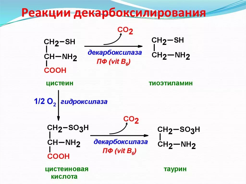 Декарбоксилирование аминокислот реакция. Декарбоксилирование орнитина реакция. Декарбоксилирование метионина. Реакция декарбоксилирования аминокислот. Реакция декарбоксилирования карбоновых кислот.