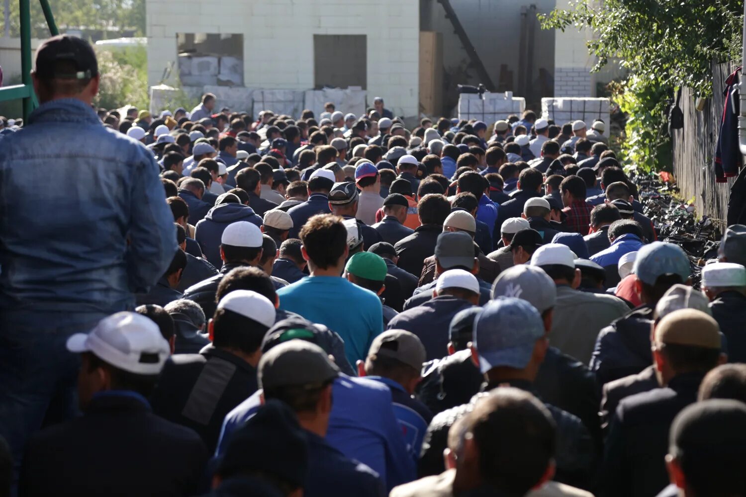 Праздник в исламе сегодня. Мусульманский праздник разговения «ураза-байрам» (eid al-fitr). Праздник в исламе сегодня. Праздник в исламе сегодня. Мусульманский праздник курбан байрам.