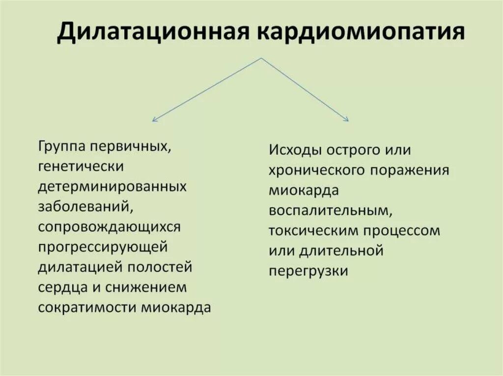 Дилатационная кардиомиопатия это простыми словами. Кардиомиопатия факторы риска. Дилатационная кардиомиопатия это простыми словами. Дилатационная кардиомиопатия причины. Дилатационная кардиомиопатия (дкмп).