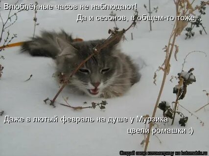 Ах как бы на цветы не морозы