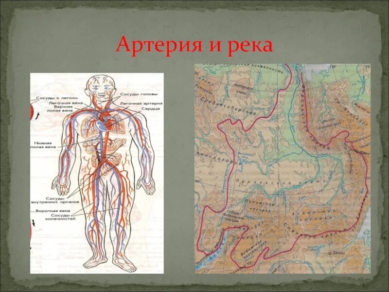 География 6 класс реки артерии земли конспект. Реки артерии земли. водные артерии земли. речные артерии это. реки артерии земли конспект.