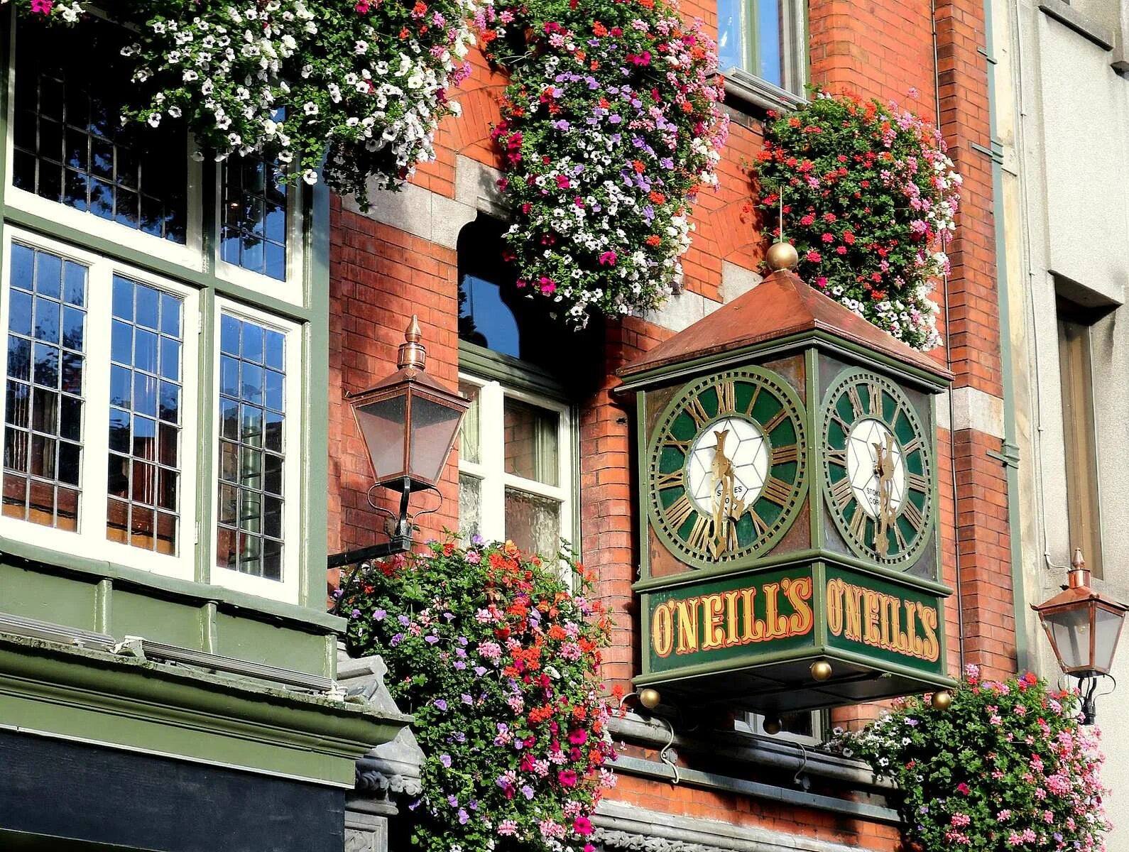 Irish dublin