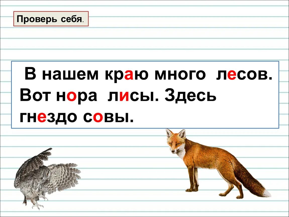 Волк зверь чк чн какой ответ