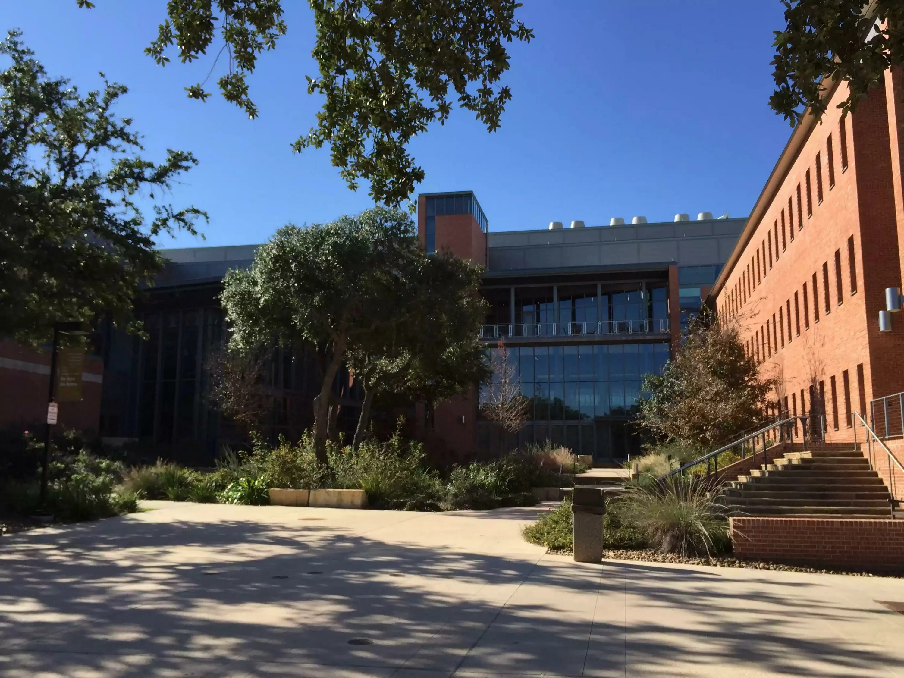 Trinity university