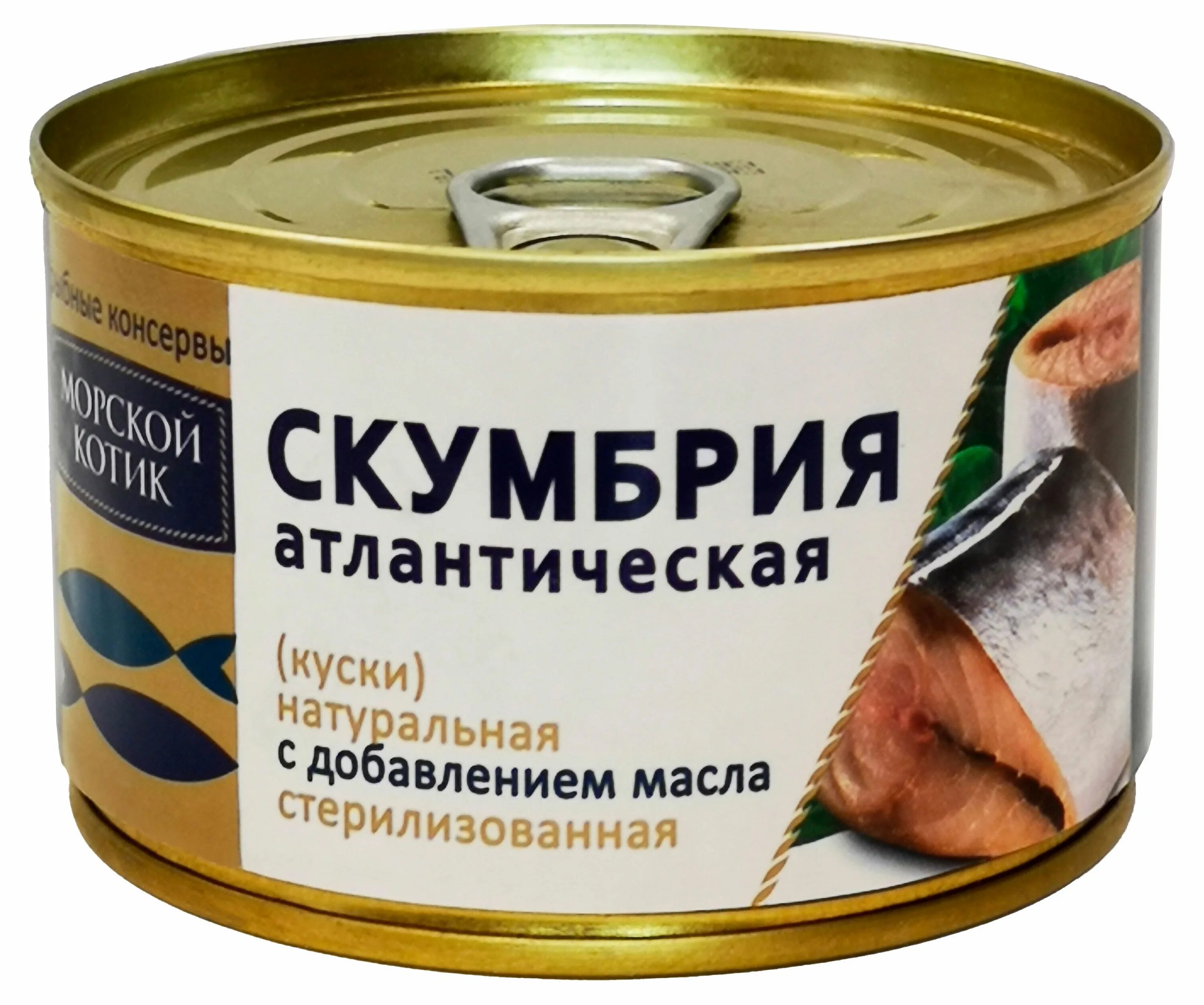 Скумбрия ндм. Скумбрия консервированная. Штурвал скумбрия ндм 250г. Скумбрия фиш хаус консервы. Скумбрия пять морей атлантическая 250г.