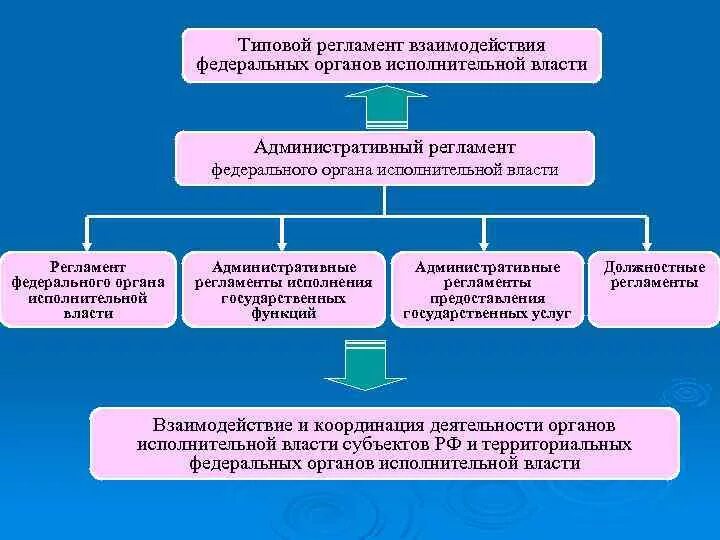 Решением руководителя органа исполнительной власти субъекта. Регламенты органов власти. регламент федерального органа исполнительной власти. взаимодействие органов исполнительной власти. порядок взаимодействия федеральных органов исполнительной власти.