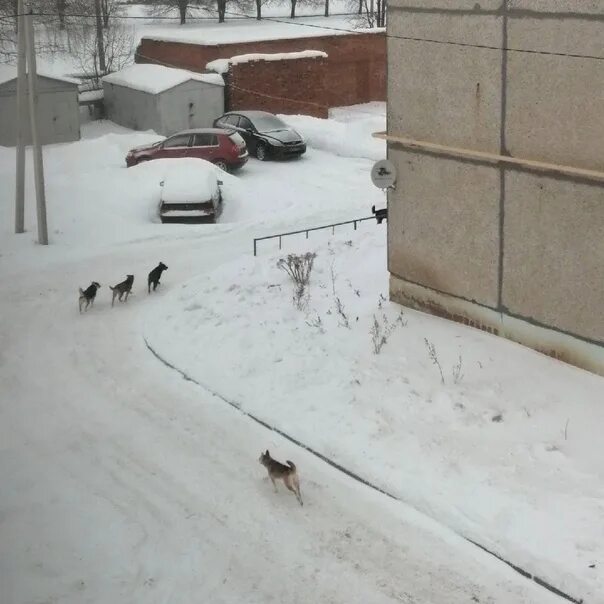 В контакте про город новочебоксарск и чебоксары. Деревня Тренькасы. Тренькасы Чебоксарский район. Деревня новые Тренькасы. Хыркасы Чебоксарский район Тренькасы.