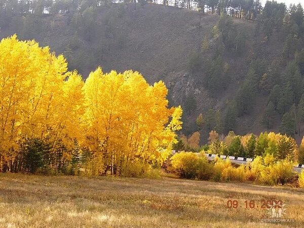 Забайкалье золотое. Природа забайкальского края чита. Забайкальский край природа осень. Река никишиха забайкальский край осень. Природа забайкальского края чита.