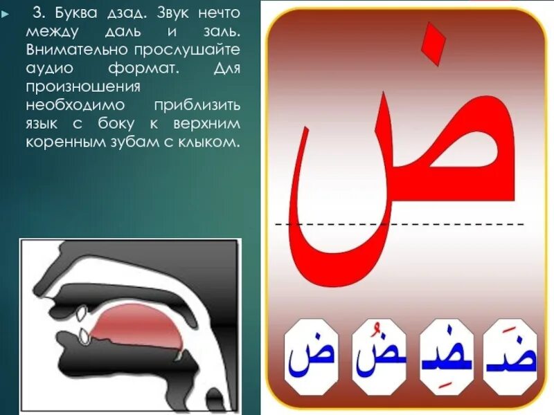 Арабская буква 3 буквы сканворд. Транскрипция арабских букв. Заль буква арабского алфавита. Арабская буква даль и заль. Заль арабская буква произношение.