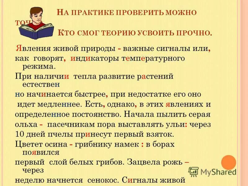 Практик проверить