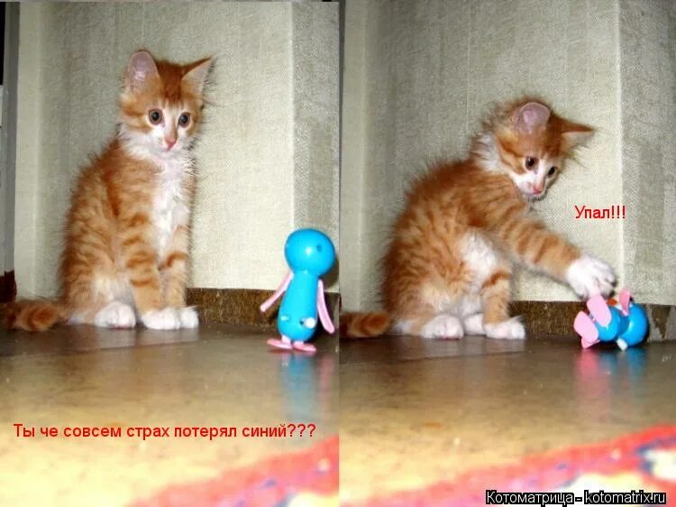 Совсем упал. Совсем упал. Ты совсем страх потерял. Ломбард реклама. Лед на тротуаре.