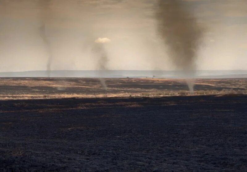 торнадо шторм. шторм из сотни смерчей worldbox. фото смерчей эдисона. охота на торнадо фильм. фотограф и смерч.
