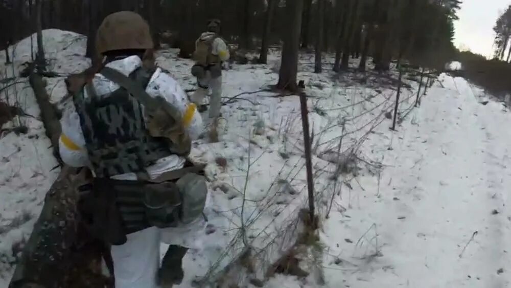 ДРГ ВСУ В Брянской области.