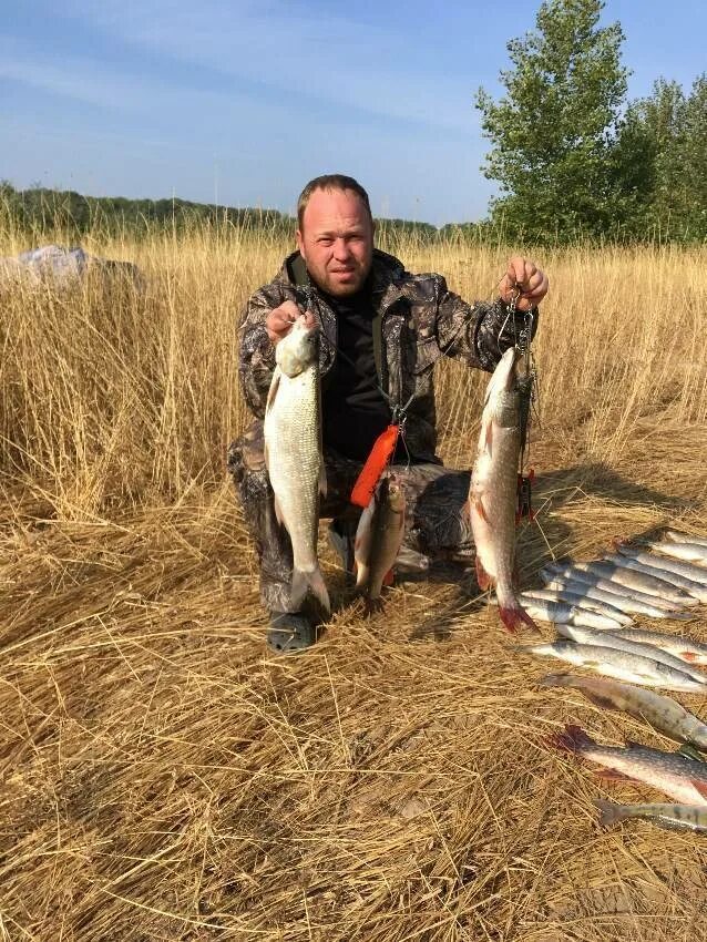 Рыбалка в оренбурге и оренбургской области. Рыба реки Урал Оренбургской области. Рыбалка на Урале. Рыбалка в Оренбурге. Рыбалка на реке Илек.