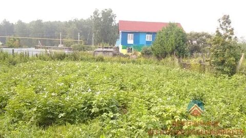 Мичуринский новосибирской