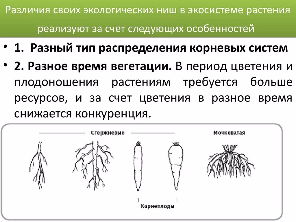 Чем различаются местообитания и экологическая ниша. Экологическая ниша растений. Лабораторная работа экологическая ниша. Лабораторная работа экологическая ниша организма. Особенности экологической ниши.