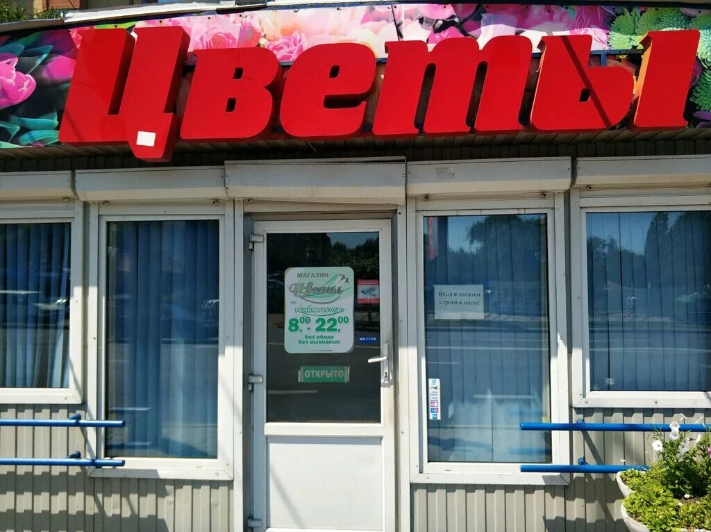 Гомель цветочные салоны. Гомель цветочные салоны. Магазины цветов в гомеле. Цветочный магазин в гомеле. Цветочные магазины гомель.