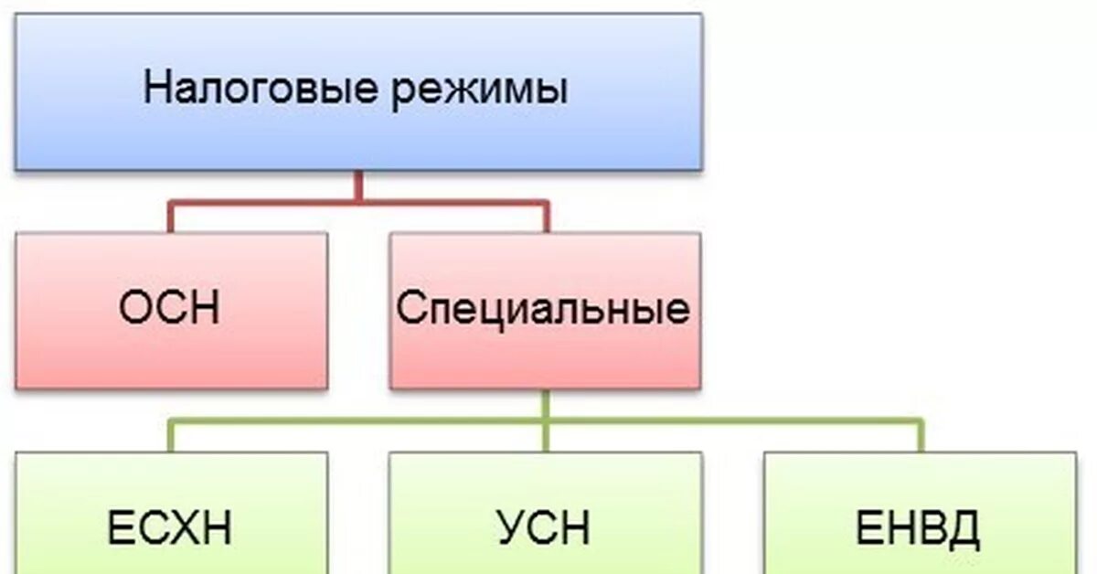 Специальные налоговые режимы схема. Осн — общая система налогообложения. Налоговые режимы схема. Особые режимы налогообложения.